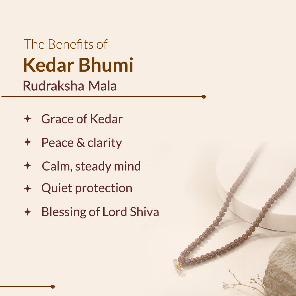 Kedar Bhumi Rudraksha Mala