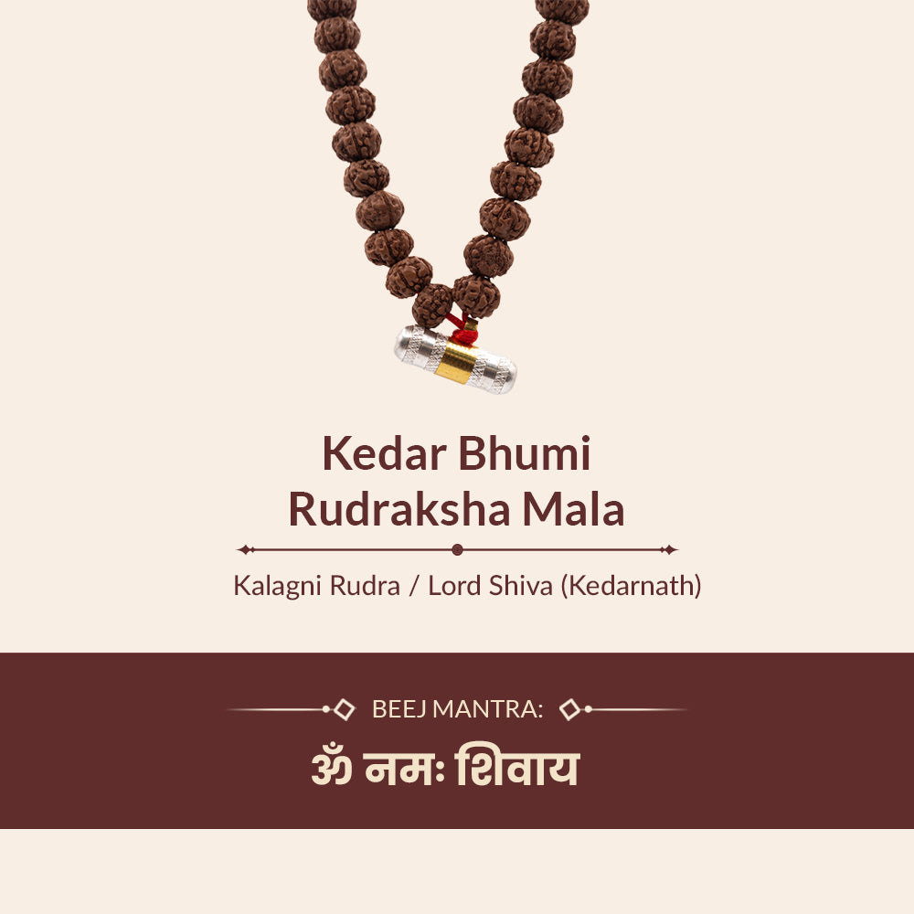 Kedar Bhumi Rudraksha Mala