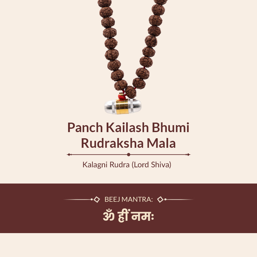 Panch Kailash Bhumi Rudraksha Mala