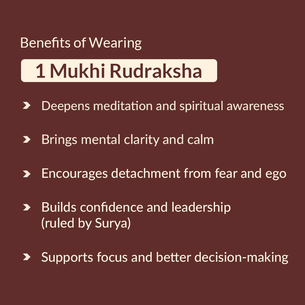 1 Mukhi Rudraksha Benefits
