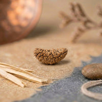 1 Mukhi Rudraksha