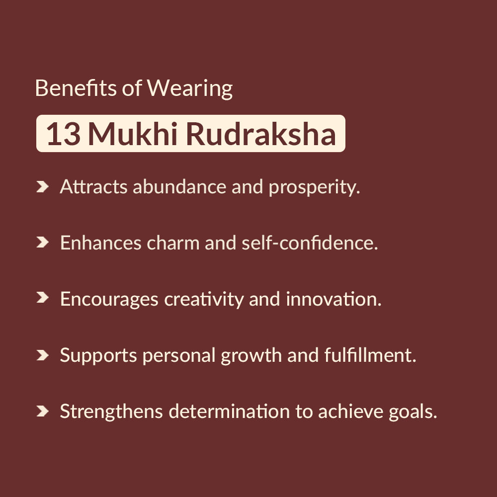 Benefits of 13 mukhi rudraksha
