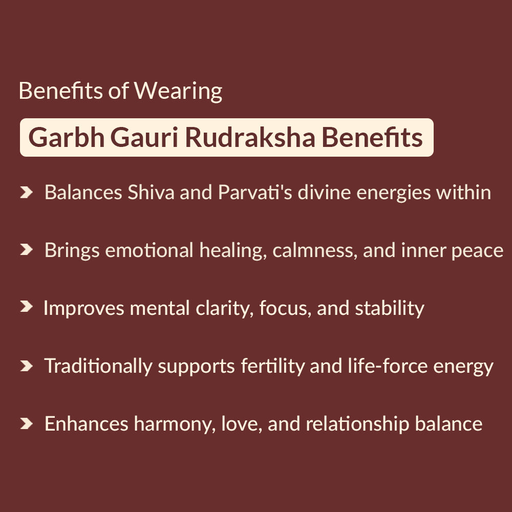 Benefits of Garbh Gauri Rudraksha