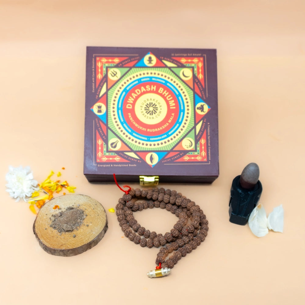 Dwadash Bhumi Panchmukhi Rudraksha Mala