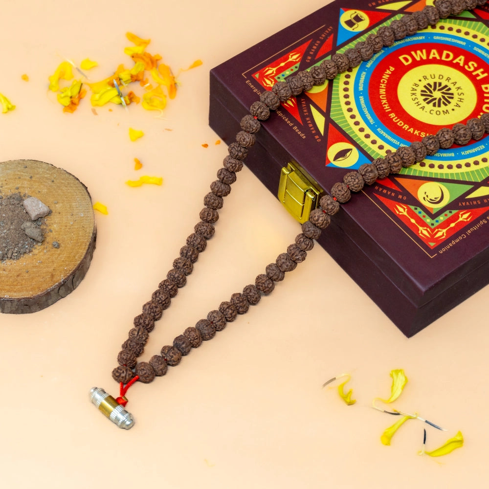 Dwadash Bhumi Panchmukhi Rudraksha Mala