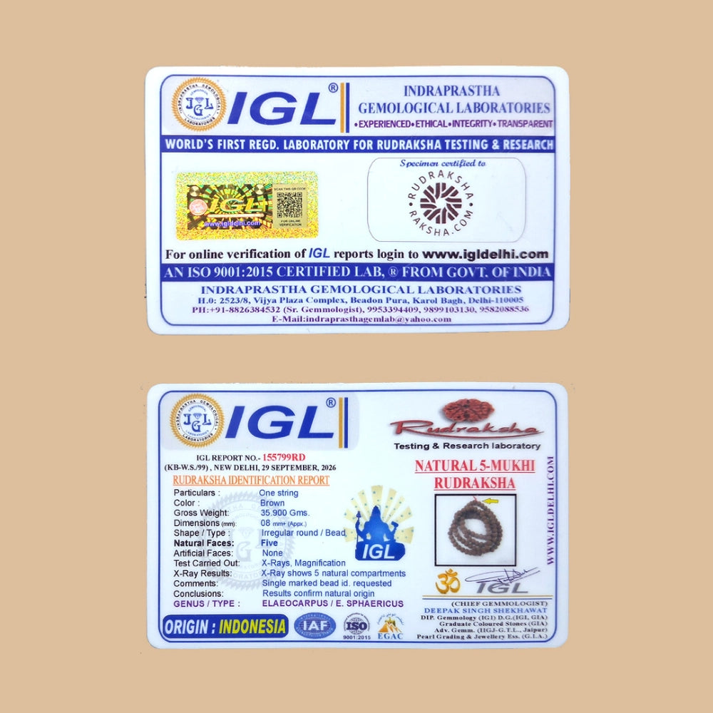 Dwadash Bhumi Panchmukhi Rudraksha Mala Lab Certificate