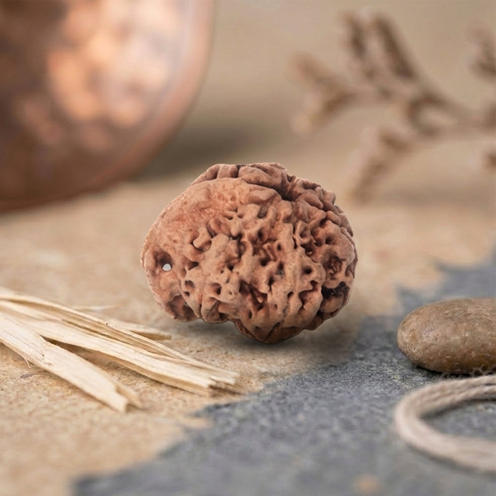 Ganesh Rudraksha Bead