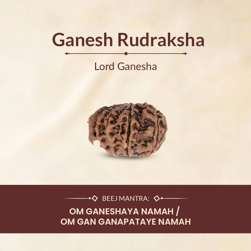 Ganesh Rudraksha Beej Mantra