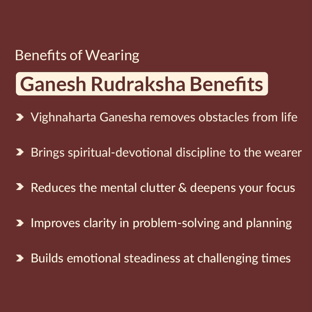 Ganesh Rudraksha Benefits
