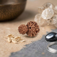 Garbh Gauri Rudraksha