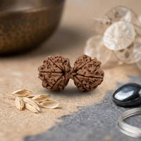 Gauri Shankar Rudraksha