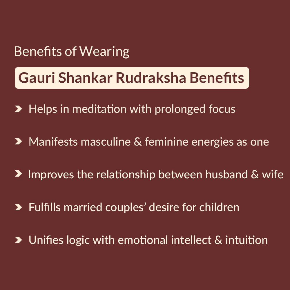 Gauri Shankar Rudraksha benefits