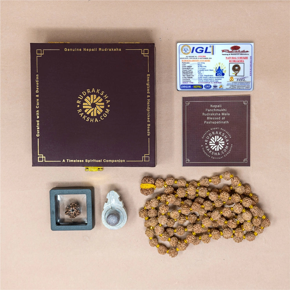 Nepali Rudraksha Mala with box, Ganesh Rudraksha, Kashi Shivling, and Lab Certificate