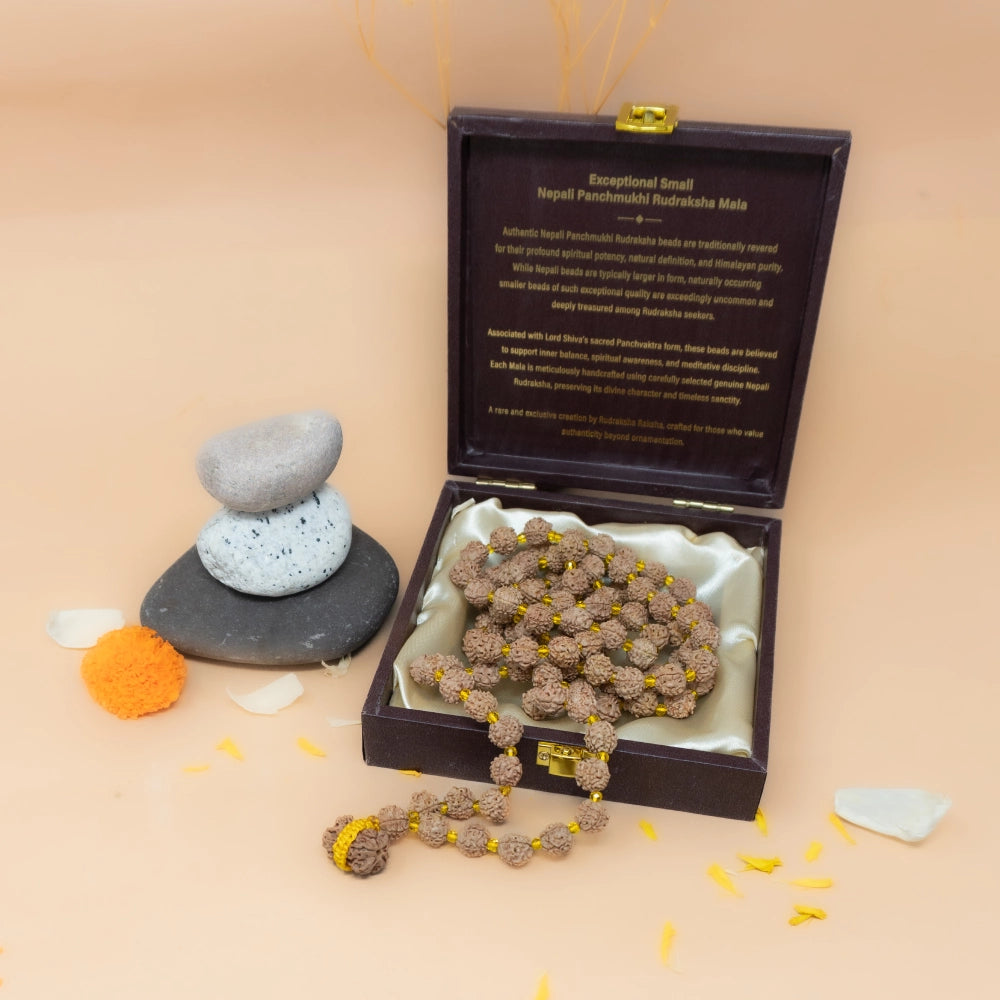 Nepali Rudraksha Mala With Damru Rudraksha Pendant